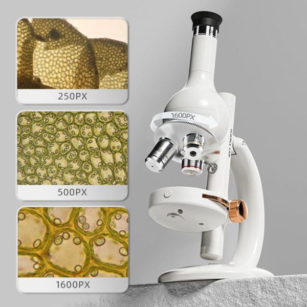 a89c8a54-7c17-4450-8b5f-a68d3fe48a79_720x-2