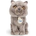 bon-ton-toys-plush-bt-chaps-freddy-the-british-shorthair-cat-plush-in-giftbox-6-5-32019840041047_720x
