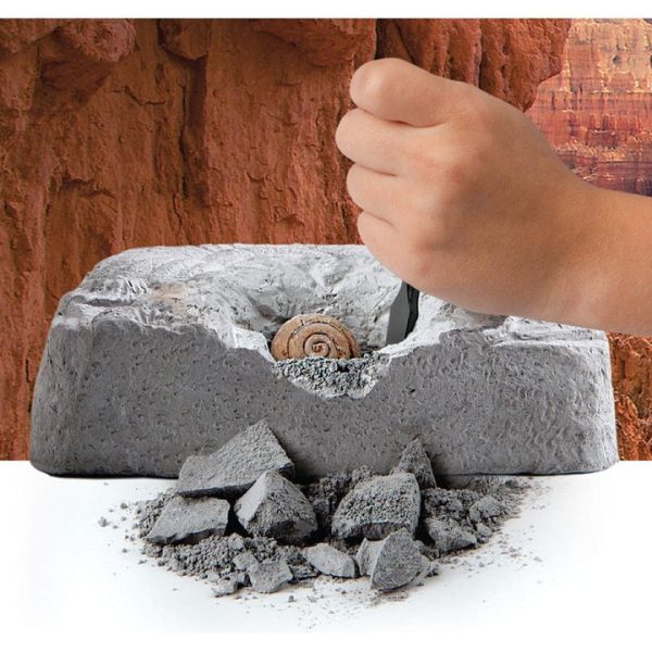 discovery-mindblown-stem-colossal-fossil-dig-set-32434812682327_720x-3