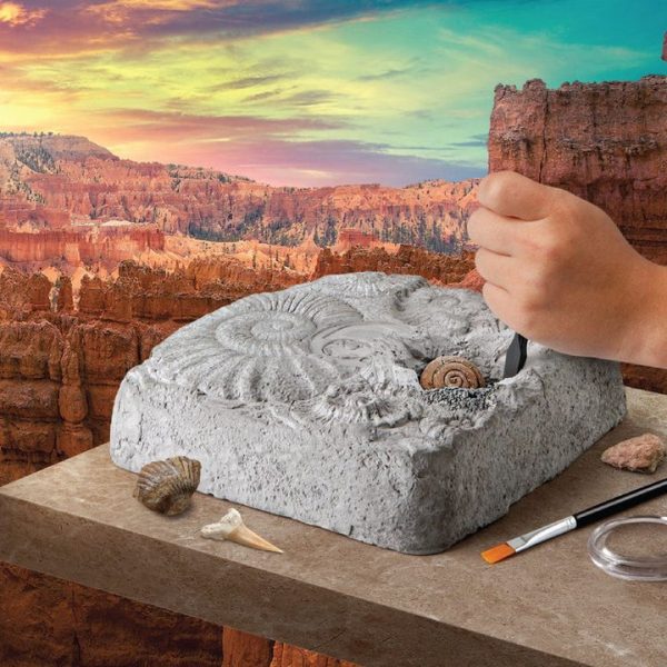 discovery-mindblown-stem-colossal-fossil-dig-set-32434812747863_720x-4