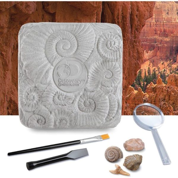 discovery-mindblown-stem-colossal-fossil-dig-set-32434812813399_720x-2