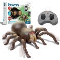 discovery-stem-remote-control-tarantula-spider-32434842828887_720x-1