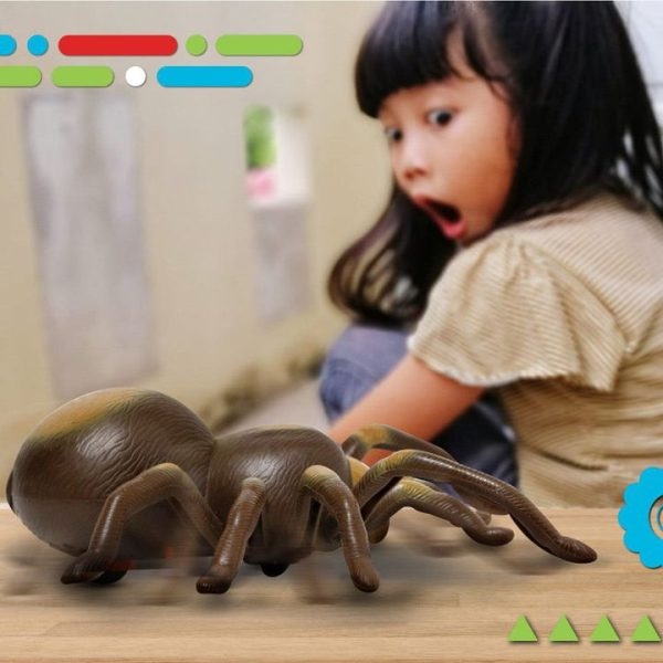 discovery-stem-remote-control-tarantula-spider-32434842861655_720x-2