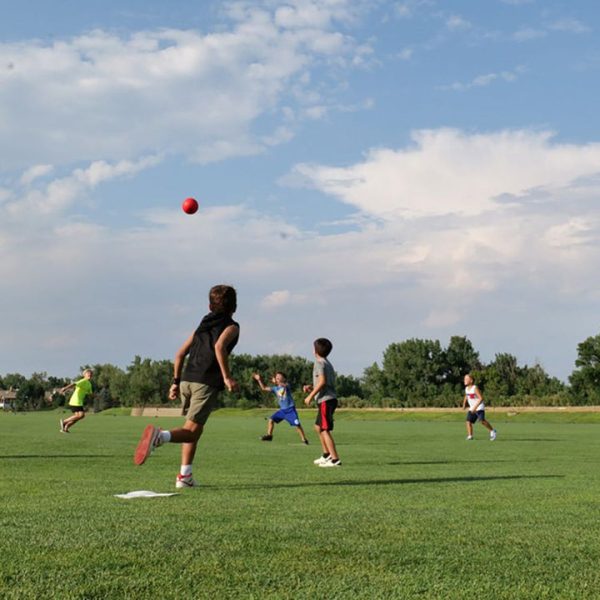 ec6455d4-ec3b-483a-99a5-aa23081f8103_720x-2