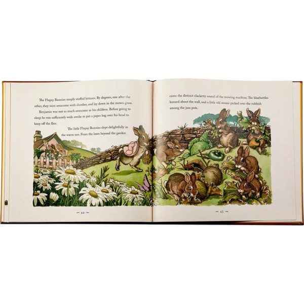 graphic-image-books-the-classic-tale-of-peter-rabbit-book-in-tan-bonded-leather-32343281991767_720x