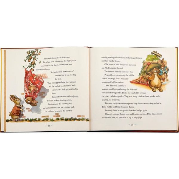 graphic-image-books-the-classic-tale-of-peter-rabbit-book-in-tan-bonded-leather-32343282548823_720x-3