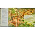 graphic-image-books-the-jungle-book-in-green-bonded-leather-32343284121687_720x-2