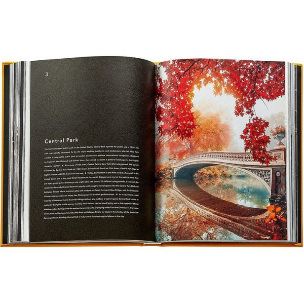 graphic-image-books-trope-new-york-book-leather-edition-1152077148_720x-6