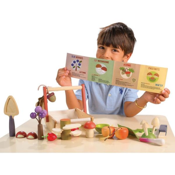 tender-leaf-toys-preschool-wild-wood-foraging-trug-1130106586_720x-2