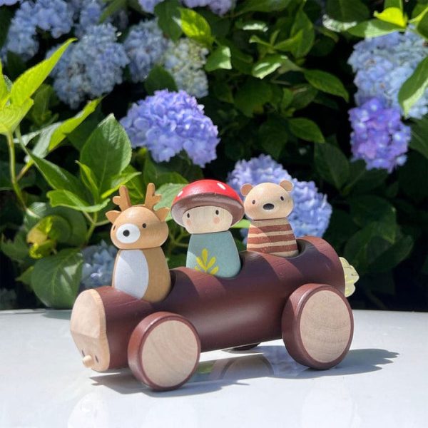 tender-leaf-toys-preschool-wooden-timber-taxi-toy-29822748393559_720x-1