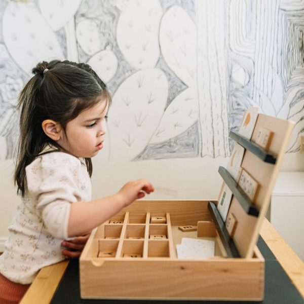 wonder-wise-preschool-wooden-compelling-spelling-activity-box-30541860077655_720x